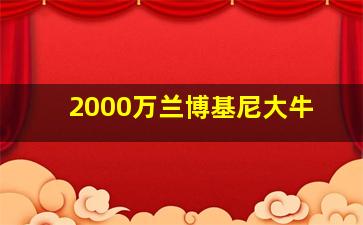 2000万兰博基尼大牛