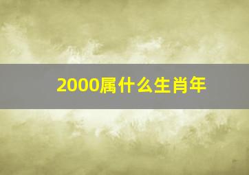 2000属什么生肖年