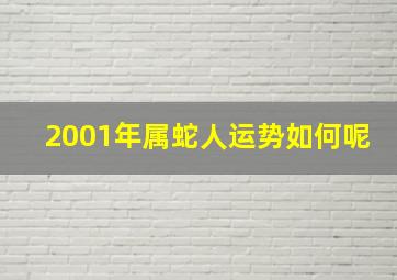 2001年属蛇人运势如何呢