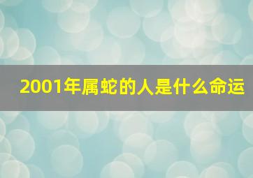 2001年属蛇的人是什么命运