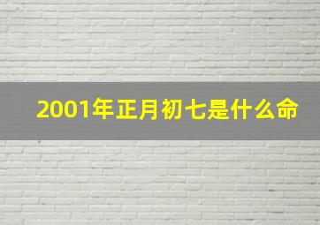 2001年正月初七是什么命