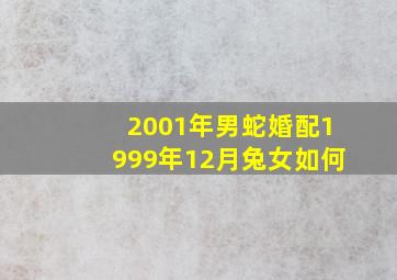 2001年男蛇婚配1999年12月兔女如何