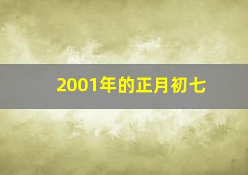 2001年的正月初七