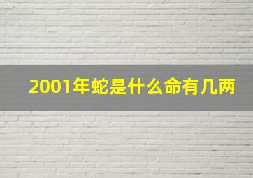 2001年蛇是什么命有几两