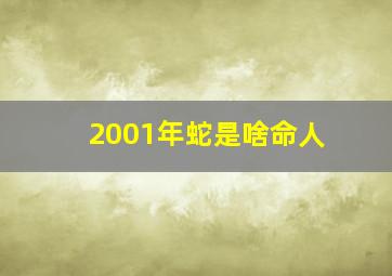 2001年蛇是啥命人