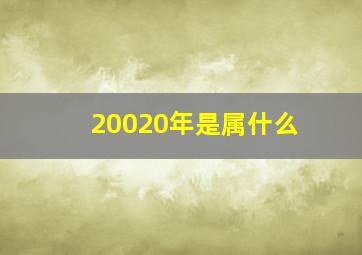 20020年是属什么