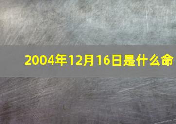 2004年12月16日是什么命