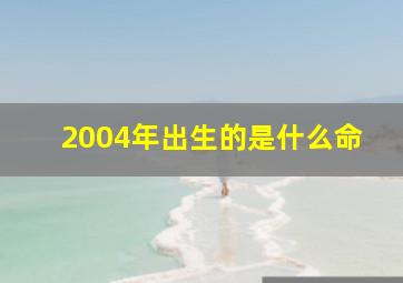 2004年出生的是什么命