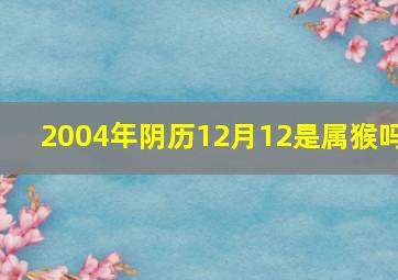 2004年阴历12月12是属猴吗