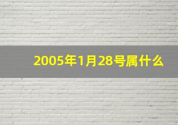 2005年1月28号属什么