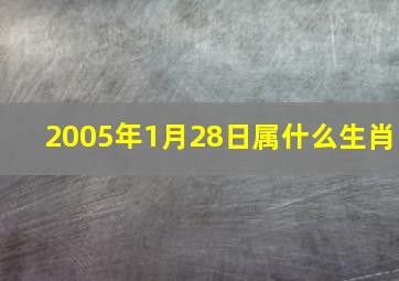 2005年1月28日属什么生肖