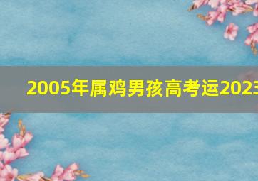 2005年属鸡男孩高考运2023