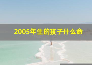 2005年生的孩子什么命