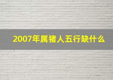 2007年属猪人五行缺什么