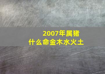 2007年属猪什么命金木水火土