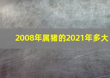 2008年属猪的2021年多大