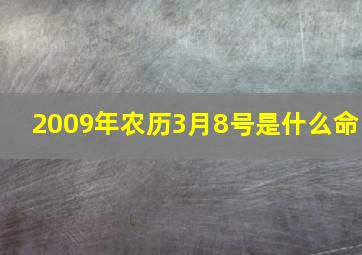 2009年农历3月8号是什么命