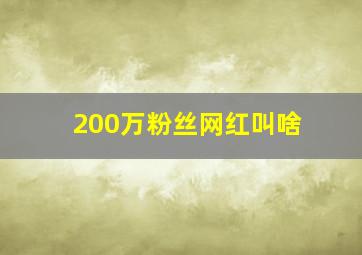 200万粉丝网红叫啥