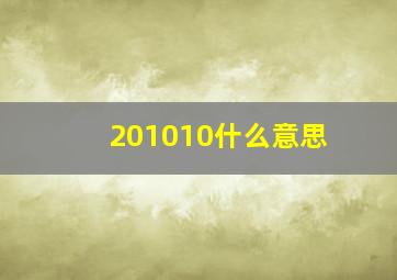 201010什么意思