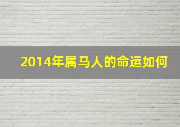 2014年属马人的命运如何