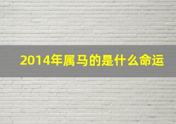 2014年属马的是什么命运