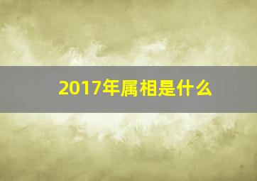 2017年属相是什么