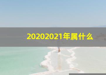 20202021年属什么