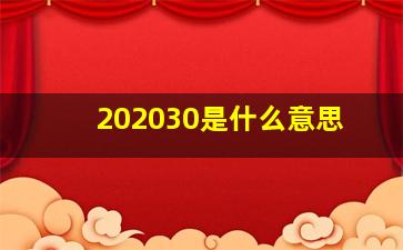 202030是什么意思