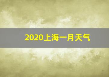 2020上海一月天气