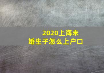 2020上海未婚生子怎么上户口