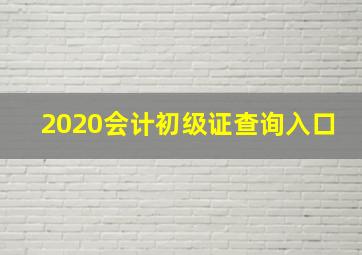 2020会计初级证查询入口