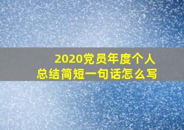 2020党员年度个人总结简短一句话怎么写