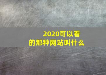 2020可以看的那种网站叫什么