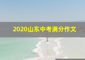 2020山东中考满分作文