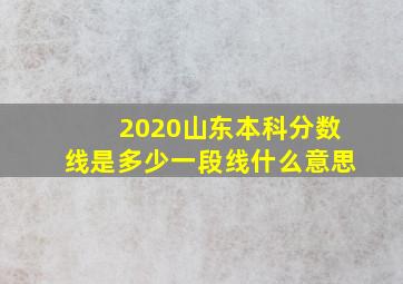 2020山东本科分数线是多少一段线什么意思