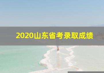 2020山东省考录取成绩