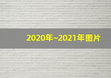 2020年~2021年图片