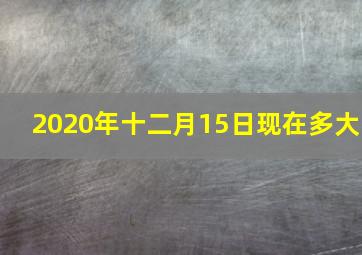 2020年十二月15日现在多大