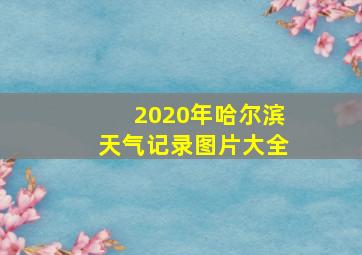 2020年哈尔滨天气记录图片大全