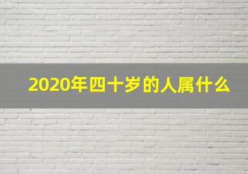 2020年四十岁的人属什么