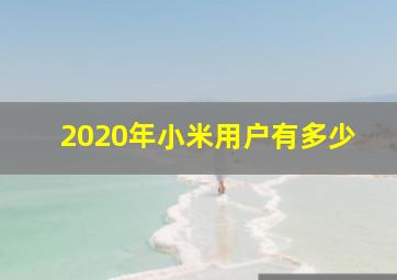 2020年小米用户有多少