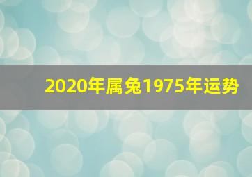 2020年属兔1975年运势