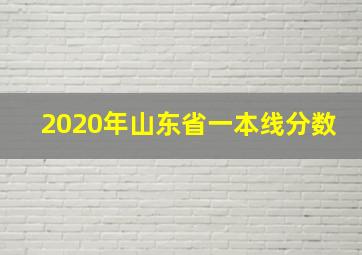 2020年山东省一本线分数