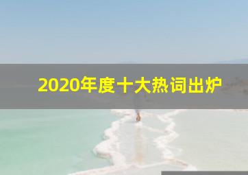 2020年度十大热词出炉