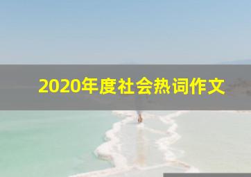 2020年度社会热词作文