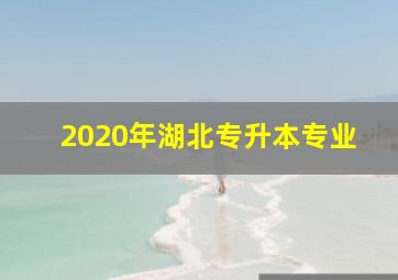 2020年湖北专升本专业