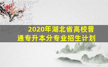 2020年湖北省高校普通专升本分专业招生计划