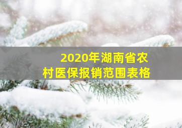 2020年湖南省农村医保报销范围表格