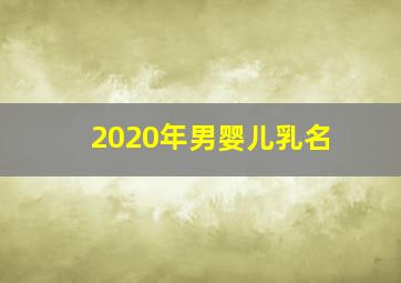 2020年男婴儿乳名