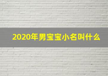 2020年男宝宝小名叫什么